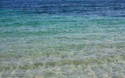 Aqua-e-Motion
